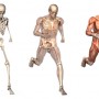 skeleton-running