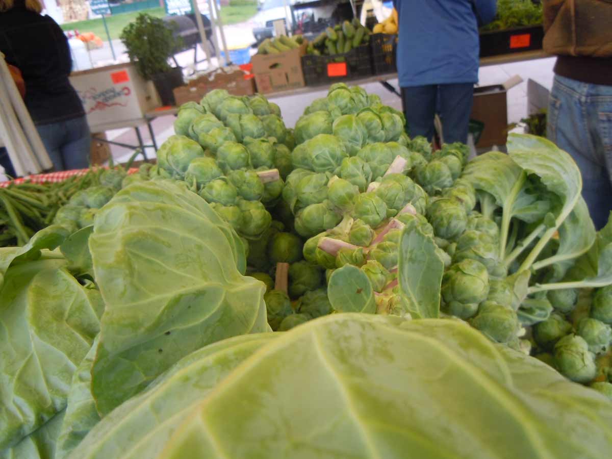 Brussel Sprouts at the Parker Farmers Market